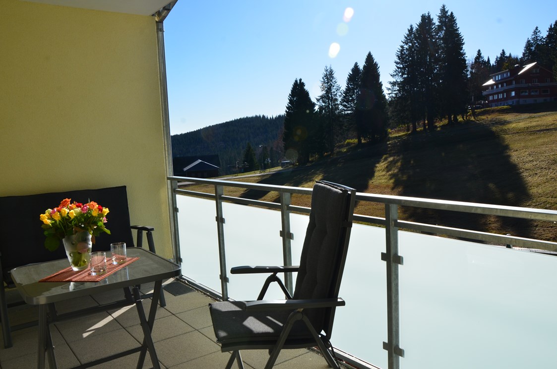 Skihotel: Beispielbild Terrasse - H&P Residenz Grafenmatt