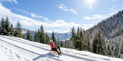 Hotels an der Piste - Hotel-Schwerpunkt: Skifahren & Therme - Albeck Obere Schattseite - Trattlers Hof-Chalets