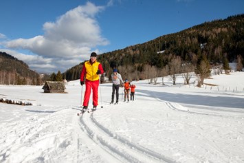 Skihotel: Langlaufen in Bad Kleinkirchheim - Trattlers Hof-Chalets