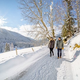 Skihotel: Winterwandern - Hotel GUT Trattlerhof & Chalets****