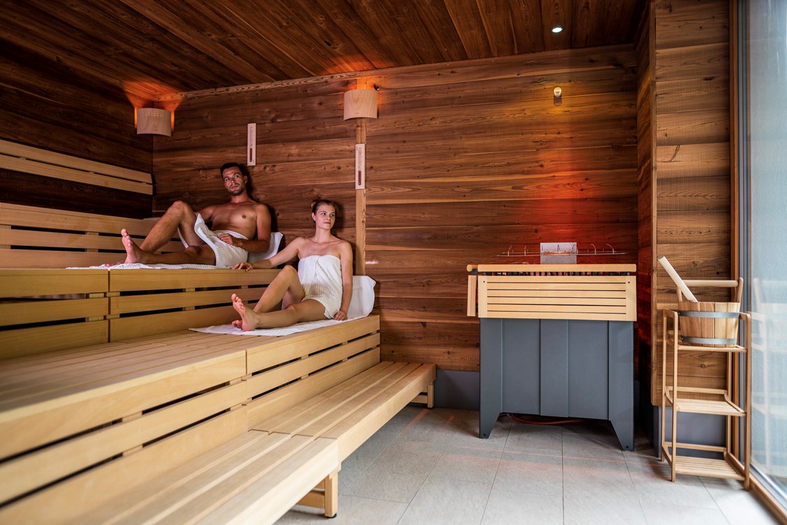 Skihotel: Panorama-Sauna - Hotel Gut Trattlerhof & Chalets****
