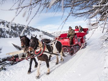 KAUZ - Design Chalets Ausflugsziele Romantische Pferdekutschenfahrt