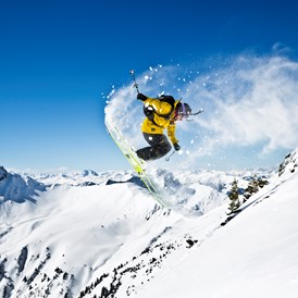 Skihotel: Freeride -  Hotel Alpine Palace