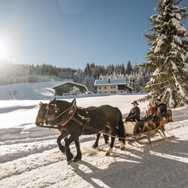 Skihotel: romantische Pferdeschlittenfahrt - Familienhotel Botenwirt ***S
