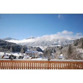 Skihotel: Umgebung und Blick zur Hochwurzen  - Hotel Vitaler Landauerhof****