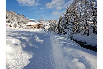 Skihotel: Ruhige Lage, 800 m am geräumten Wanderweg bis in das Dorfzentrum Hinterglemm. - Erstklassig & down to Earth - das bio-zertifizierte Gartenhotel Theresia****S 