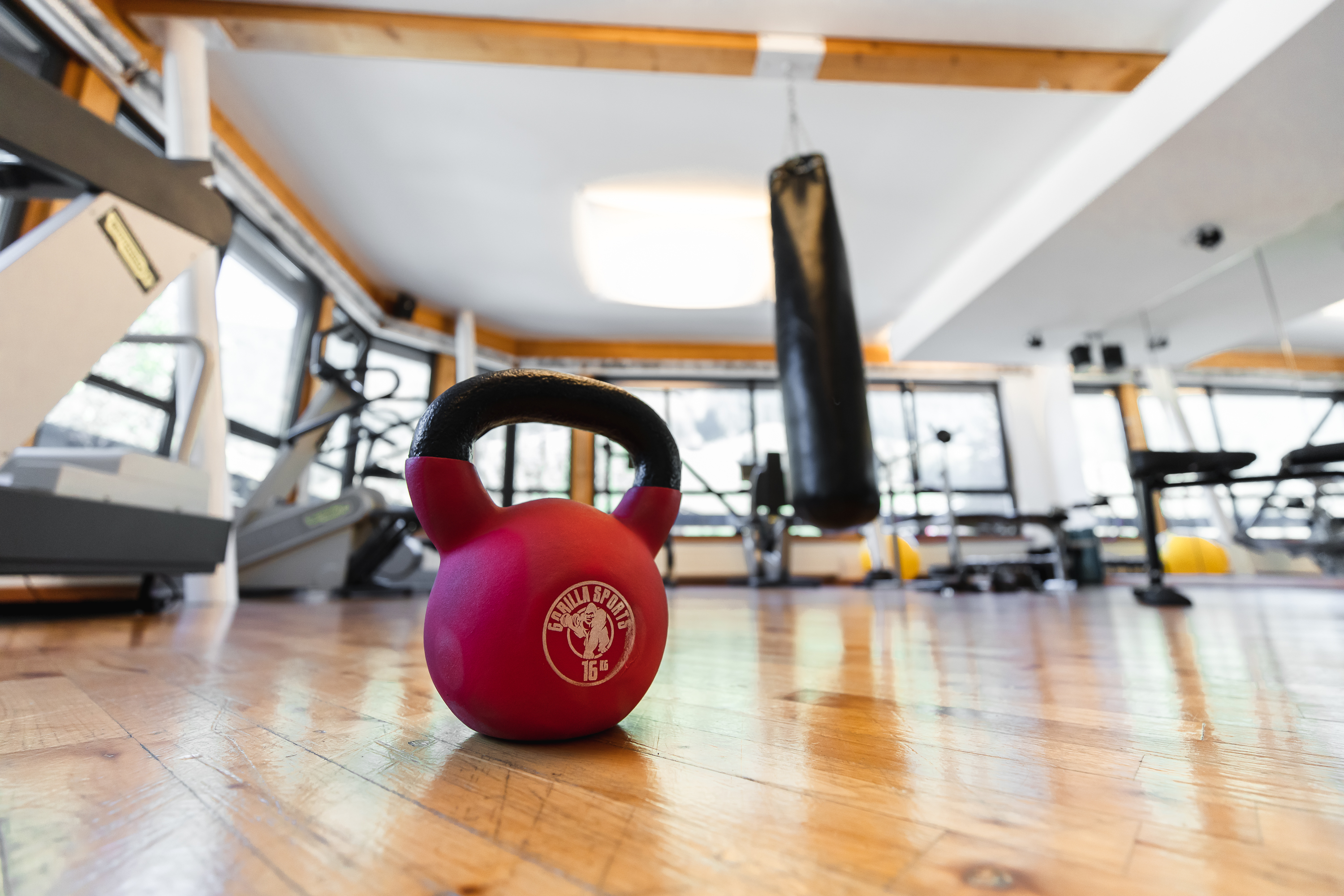 Skihotel: Panorama-Fitnesstudio - Familien- & Gartenhotel Theresia****S