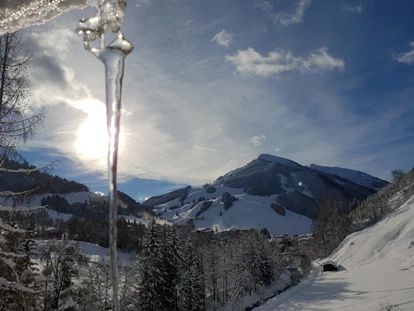 Hotels an der Piste - Skikurs direkt beim Hotel: für Kinder - HERRLICHE AUSSICHT VOM BALKON Südwest - Familien- & Gartenhotel Theresia****S